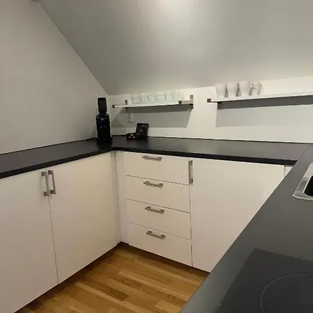 Bryggen - Prime Location, 2 Minutes From Bryggen Apartman Bergen